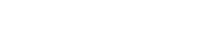 Primal Advisors